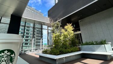 3月12日（水）15:30～１枠・21時～深夜2時空いております♪